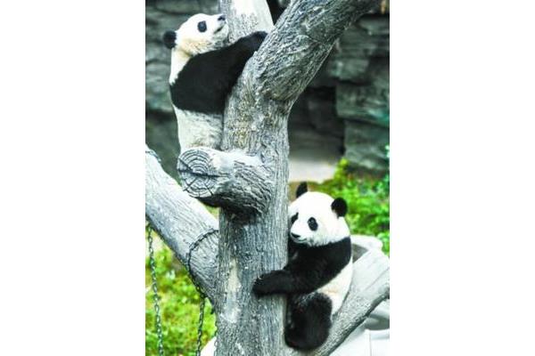 成都熊猫馆