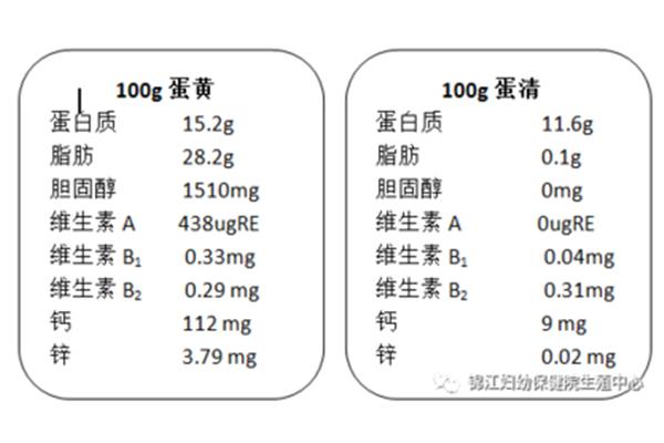 鸡蛋白的营养成分