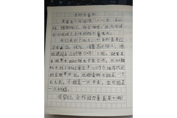 关于合作的作文