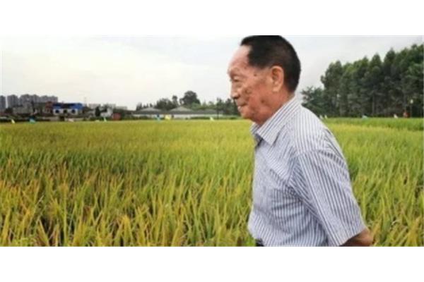 袁隆平悼词