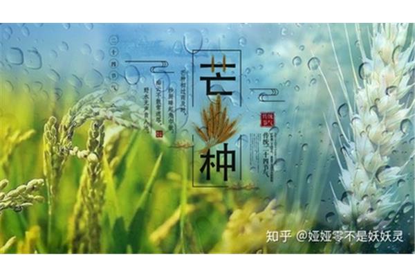 芒种是什么时候