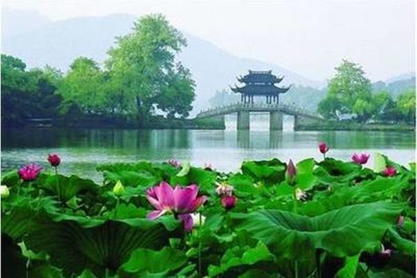 杭州的诗句