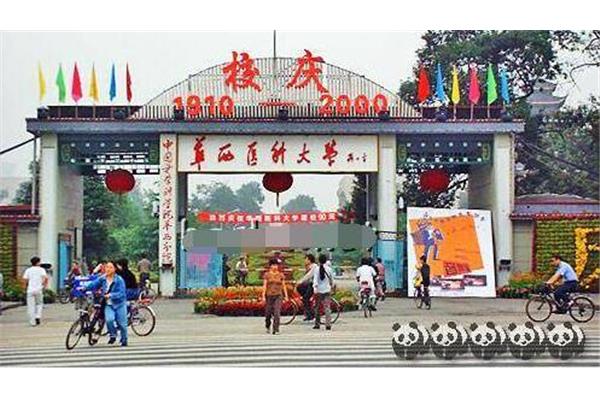 最好的医科大学