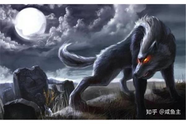 关于狼的故事