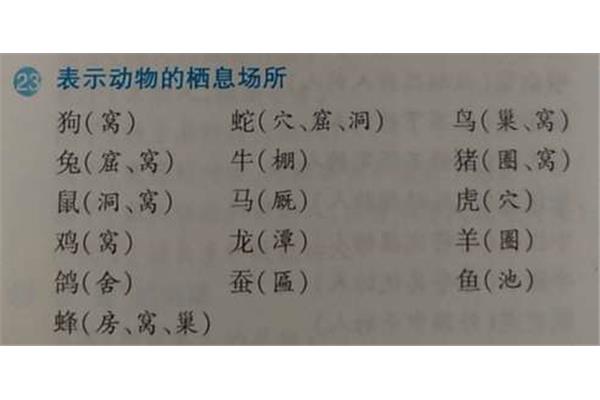 表示动物的词语