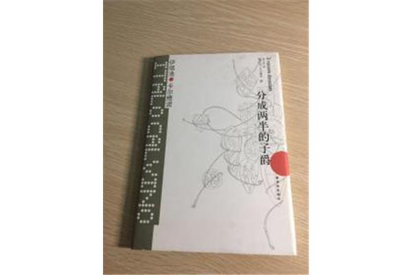 分成两半的子爵