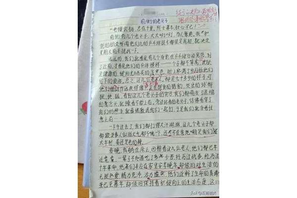作文600字初中