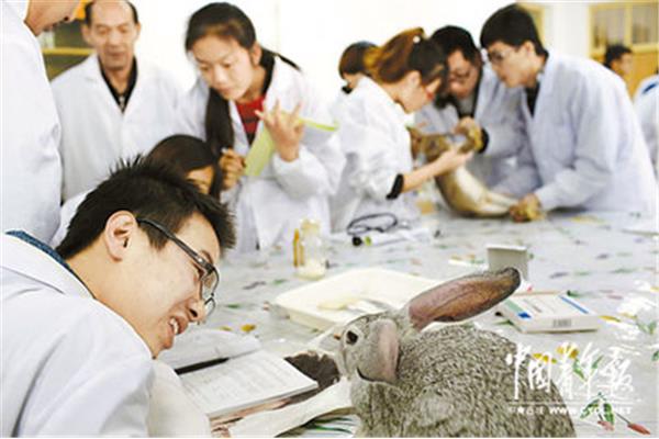 动植物检疫专业