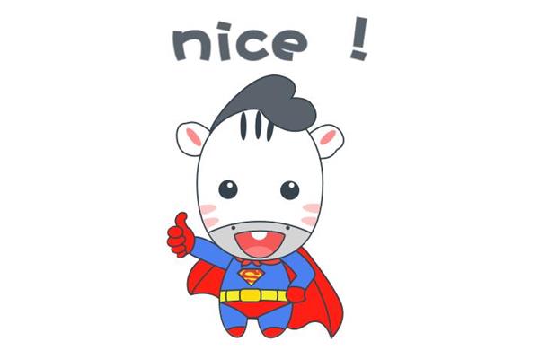nice什么意思