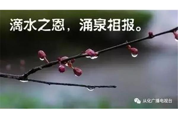 滴水之恩涌泉相报