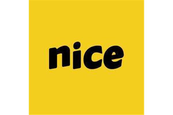 nice什么意思