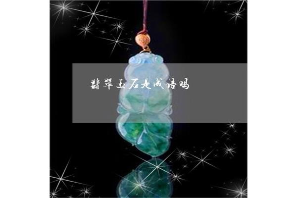 带玉的成语
