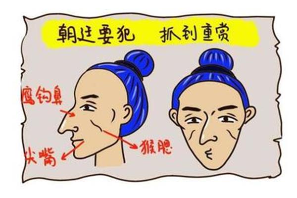 尖嘴猴腮的意思