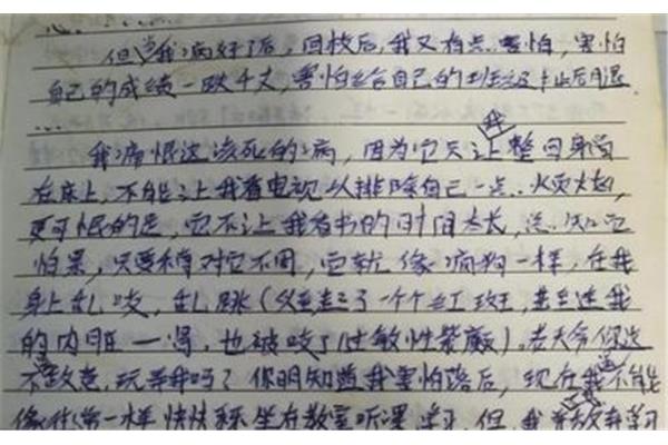 随笔800字