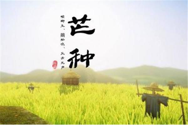 芒种是什么时候