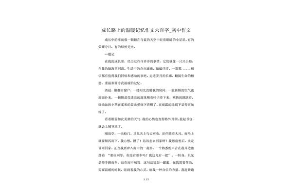 作文600字初中