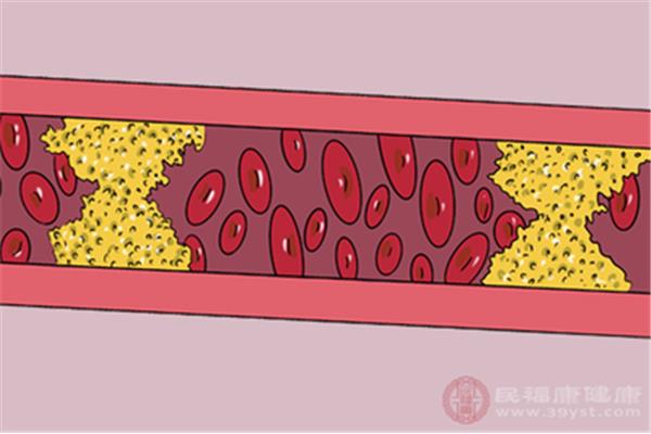 血液是什么组织