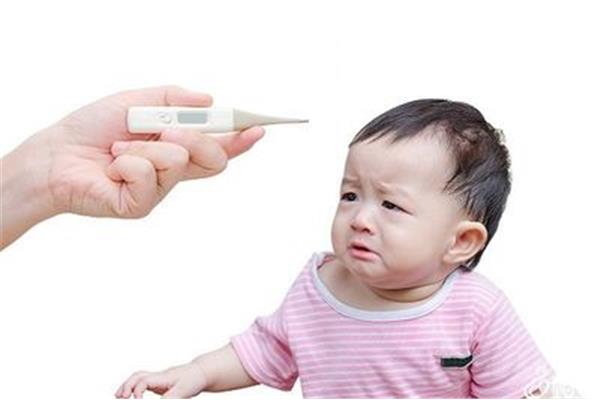 宝宝持续低烧