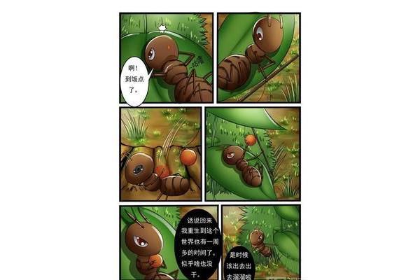 欲望食物链