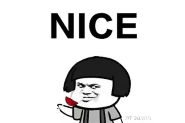 nice什么意思