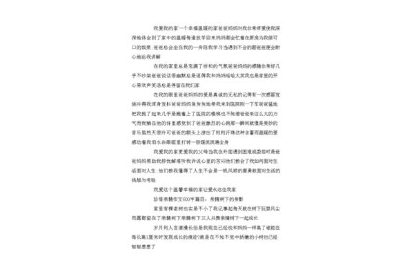 作文600字初中
