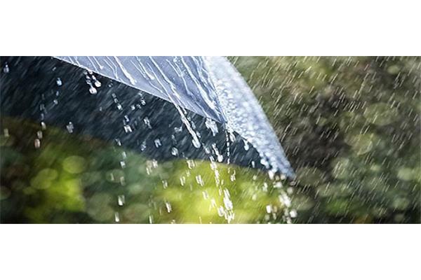 大雨的声音