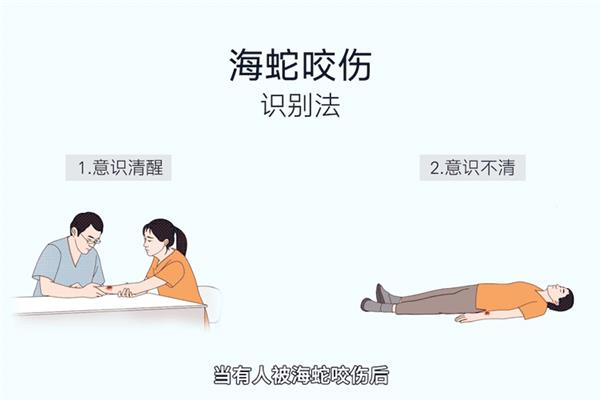蛇咬伤急救