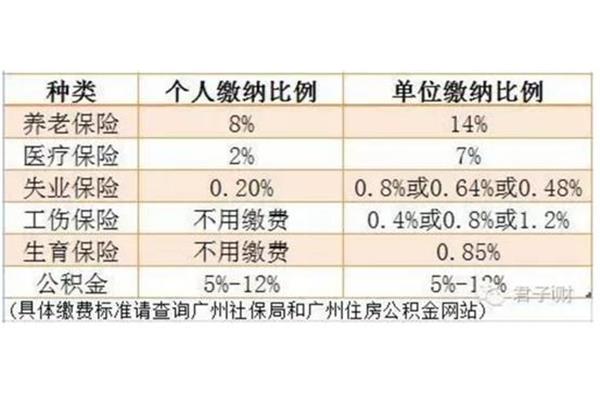 医保缴存比例