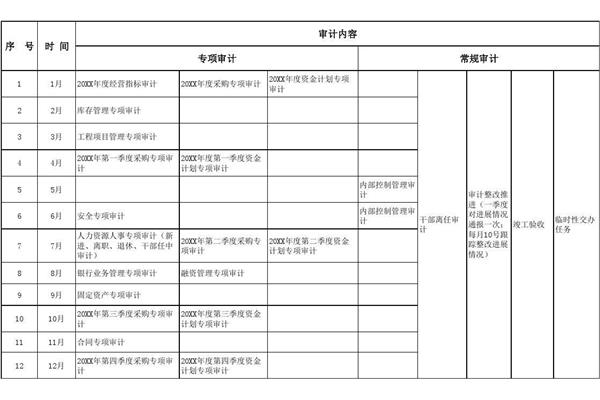 年度审计计划