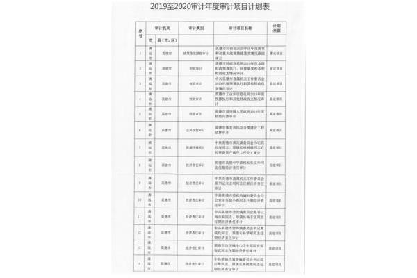 年度审计计划