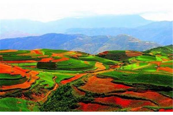 什么地欣赏