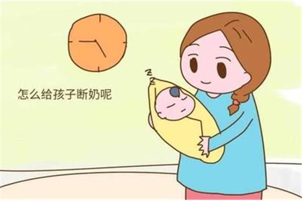 断奶的最佳时间