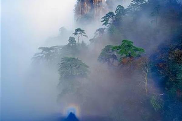 黄山介绍及特点