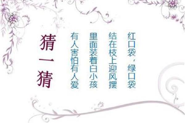红口袋绿口袋