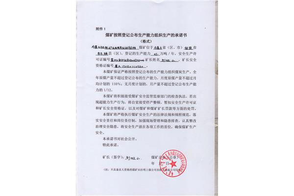 单位公司承诺书