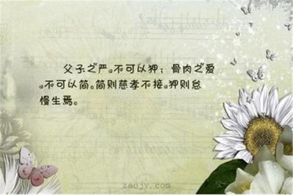 表达爱的诗句