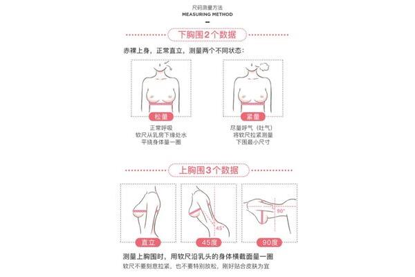怎么测量罩杯