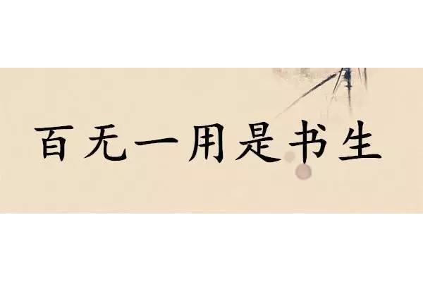 百无一用的意思