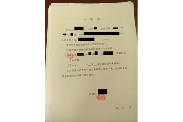 声明书格式