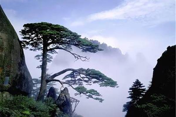 黄山介绍及特点