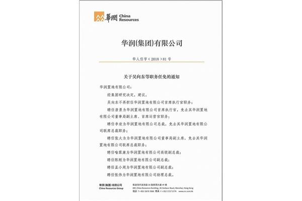 声明书格式