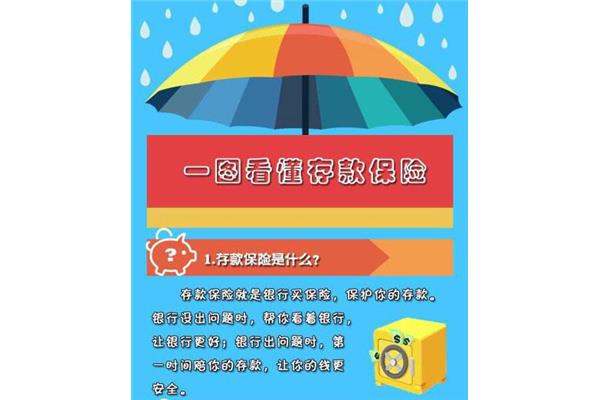 存款保险宣传总结