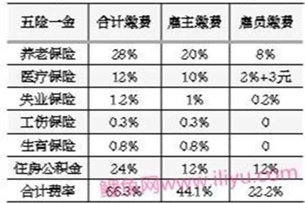医保缴存比例