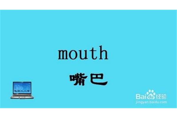 嘴巴英语单词