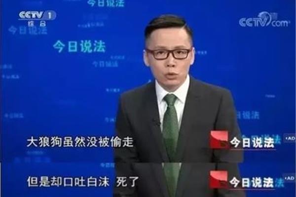 今日说法最新一期