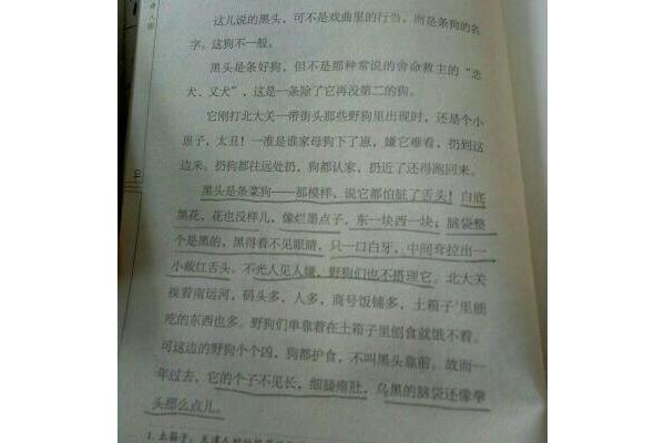 俗世奇人原文