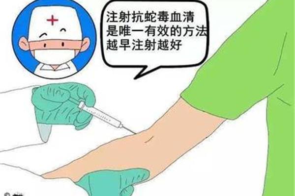 蛇咬伤急救