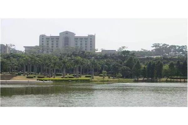 厦门大学地址