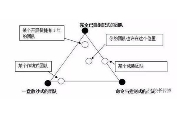 自组织系统