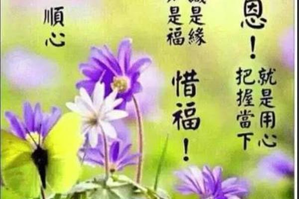 早晨的问候语大全